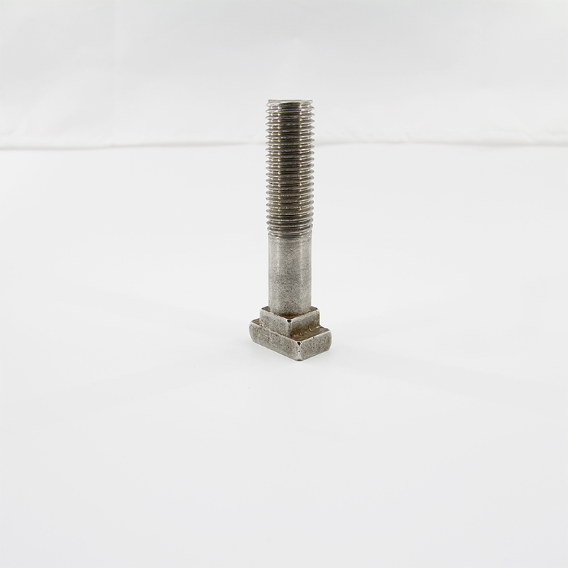 T-Bolt